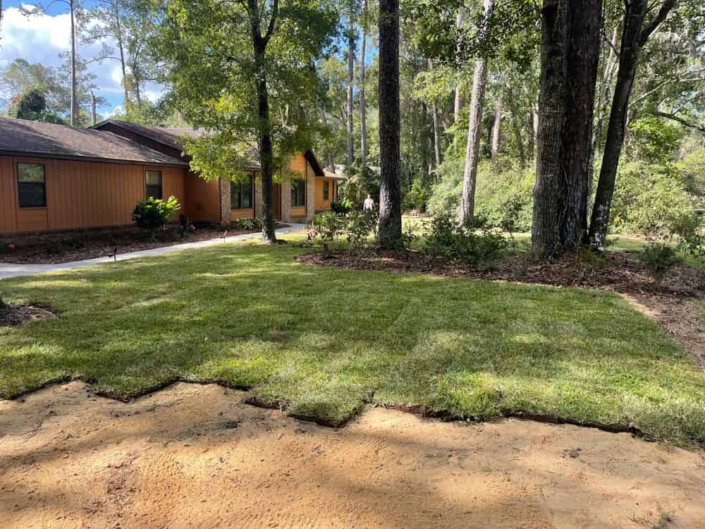 Sod & Mulch Installation image