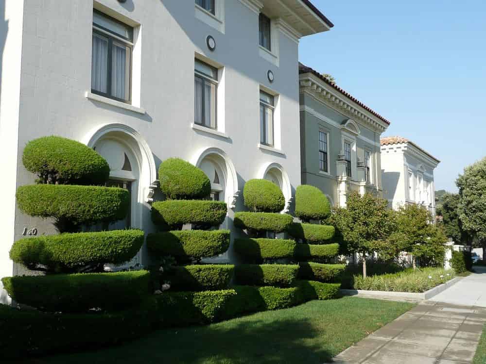 Landscape Maintenance image
